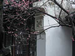 -苏州上方山国家森林公园