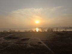 -合肥滨湖国家森林公园