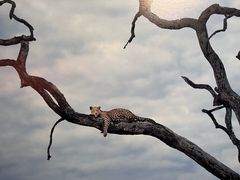 -罗红摄影艺术馆