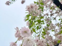 -湘湖金融镇