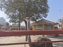 -商丘市人民公园