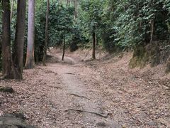 -火炉山森林公园