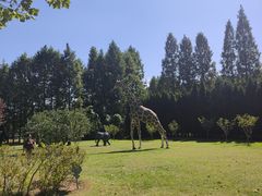 -棒棰岛宾馆景区