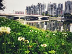 -眉山湿地公园(东坡区)