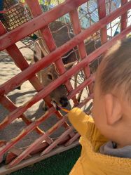 -萌宠亲子动物乐园(槐房万达店)