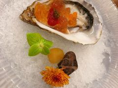三色琥珀生蚝刺身-東22·粵潮菜·海鮮火鍋東寶