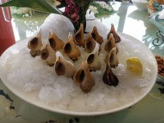 -柒加海鲜姿造