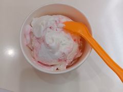 -iceason爱茜茜里·意大利健康冰淇淋(骑龙巷店)