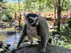 -北京野生动物园