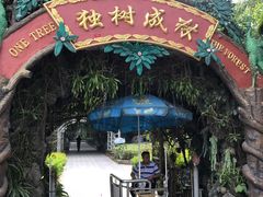 -瑞丽独树成林风景区