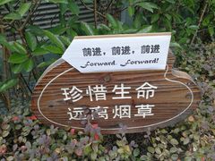 -仁恒西郊花园