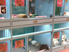 -FAELING PETS美天灵宠物(合生汇店)