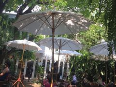 -Fern Forest Cafe
