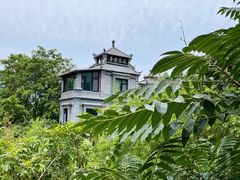 -老张烤羊(王哥庄店)