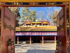 -罗布林卡