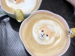 -逗柴咖啡屋·狗咖猫咖宠物桌游
