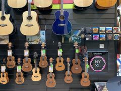 -柏斯琴行(汾阳店)