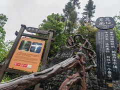 -梭布垭石林景区