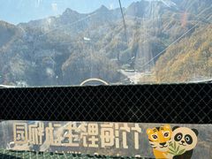 -栾川竹海野生动物园