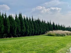 -汉长安城未央宫国家考古遗址公园