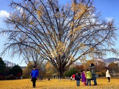 -景福宫