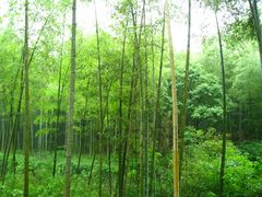 -黄公望隐居地