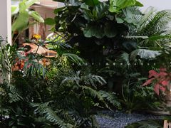 -漫笙舍Manse·咖啡·民宿