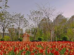-廊坊市自然公园