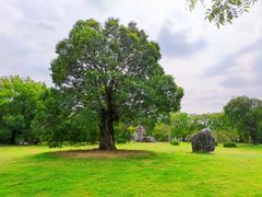 -东湖落雁景区