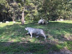 -西安秦岭野生动物园