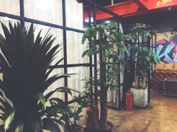 -P.STYLE 派斯造型