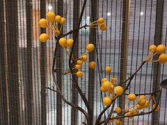 -京华烟云·北京烤鸭(领展购物广场·中关村店)