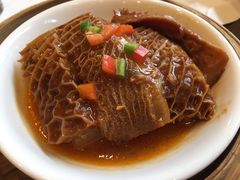 树上鲜蒸金钱肚-金汇酒楼(中山东区店)