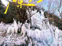 -青峰峡国家森林公园