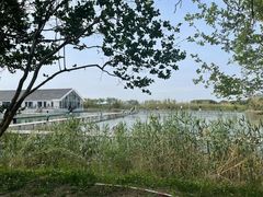 -同里国家湿地公园