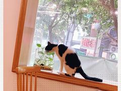 -正南齐北·老街糯米团(洪崖洞店)