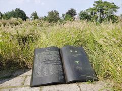 -良渚古城遗址公园