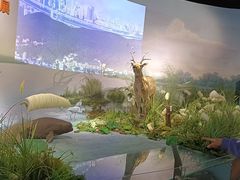 -湖南省地质博物馆