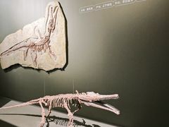 -遇见博物馆(遇见海洋沉浸式奇幻光影展)
