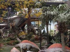 -湖南省地质博物馆