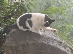 -崂山巨峰游览区