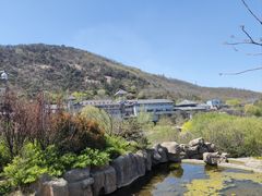 -徂徕山森林康养度假谷温泉