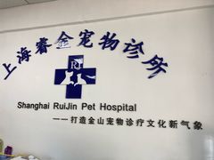 -睿金宠物医院·CT·肿瘤·骨外科