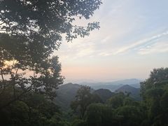 -莫干山风景区