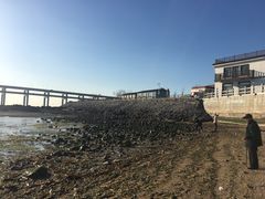 景点-黑石礁公园
