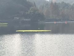-重庆彩云湖湿地公园