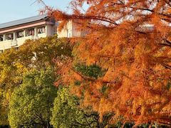 -浙江农林大学(东湖校区)