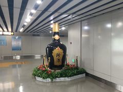 -贵阳龙洞堡国际机场-T2航站楼