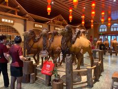 -金筷子西北菜·捞悦火锅