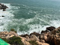 -广东惠东海龟国家级自然保护区